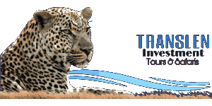 Translen Investment Logo