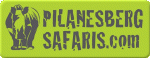 Pilanesberg Safaris & Tours Logo