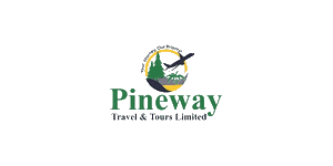 Pineway Travel and Tours  Logo