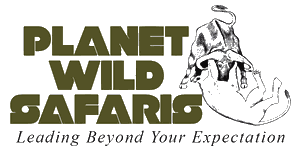 Planet Wild Safaris