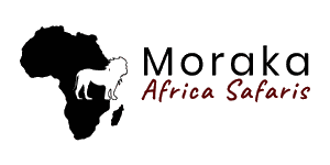 Moraka Africa Safaris Logo