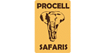 Procell Tours & Safaris
