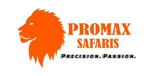 Promax Safaris