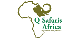 Q Safaris Africa