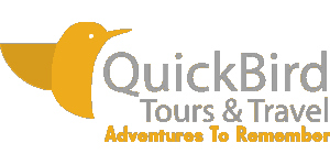 Quickbird Tours and Travel Logo