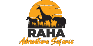 Raha Adventure Safaris 