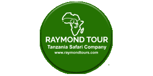 Raymond Tour Company  Logo