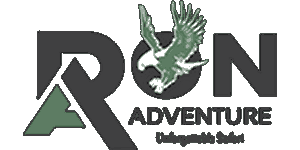 Ron Adventure Logo