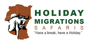 Holiday Migrations Safaris