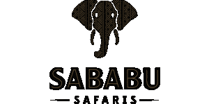 Sababu Safaris