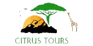 Citrus Tour Safaris Logo