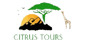 Citrus Tour Safaris