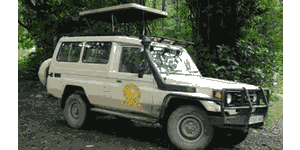 Holyland Africa Tours and Safaris