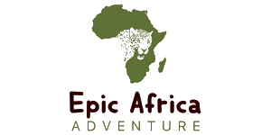 Epic Africa Adventure