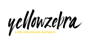 Yellow Zebra Safaris Logo