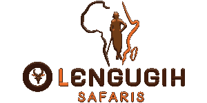 Olengugih Safaris logo