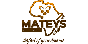 Mateys Wild Tours Logo