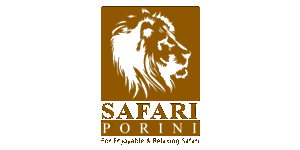 Safari Porini