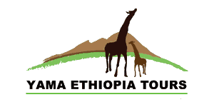 Yama Ethiopia Tours Logo