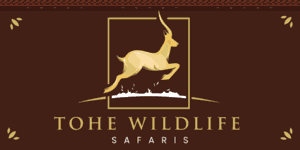 Tohe Wildlife Safaris