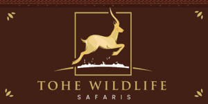 Tohe Wildlife Safaris Logo