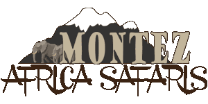 Montez Africa Safaris