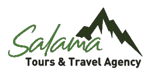 Salamatours and Travels Agency Logo