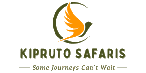 Kipruto Safaris Logo