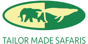 Reply from Tailor Made Safaris