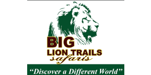 Big Lion Trails Safaris Logo