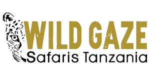 Wild Gaze Safaris