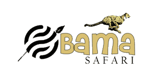 Obama Safari Logo