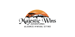 Majestic Wins Adventures Logo