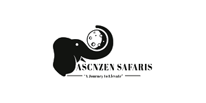 Ascnzen Safaris Logo