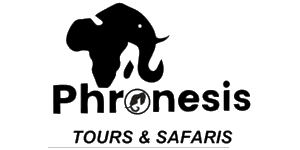 Phronesis Tours and Safaris Logo