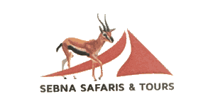 Sebna Tours And Safaris