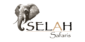 Selah Africa Safaris Logo