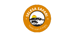 Selesa Safari & Tours  Logo
