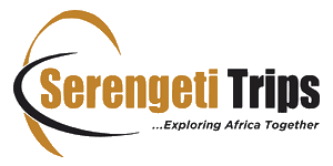 Serengeti Trips Tanzania Logo