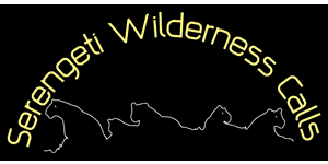 Serengeti Wilderness Calls Logo