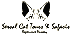 Serval Cat Tours and Safaris