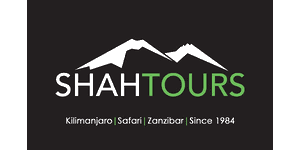 Shah Tours and Travels Logo