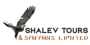 Shalev Tours and Safaris Logo