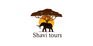 Shavi Tours  Logo