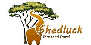 Shedluck Tours and Travel