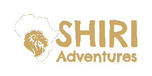 Shiri Adventures