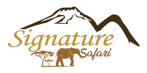 Signature Safari Logo