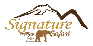 Signature Safari logo