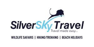 Silver Sky Logo
