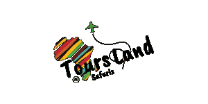 Tours Land Safaris Logo